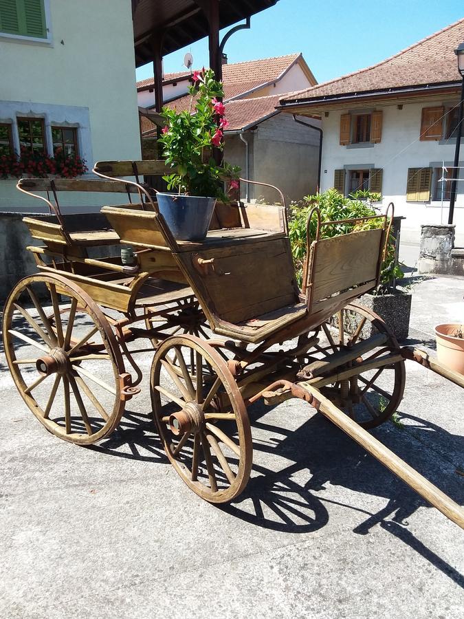 Hotel Du Vanil-Noir Grandvillard Zewnętrze zdjęcie